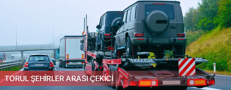 Torul İlçemi Şehirler Arası Çekici